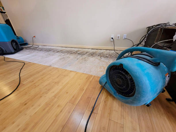 Professional Basement Flood Cleanup technician working in Reedley, CA